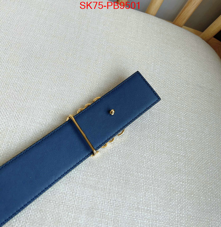 Belts-Loewe aaaaa customize ID: PB9501 $: 75USD