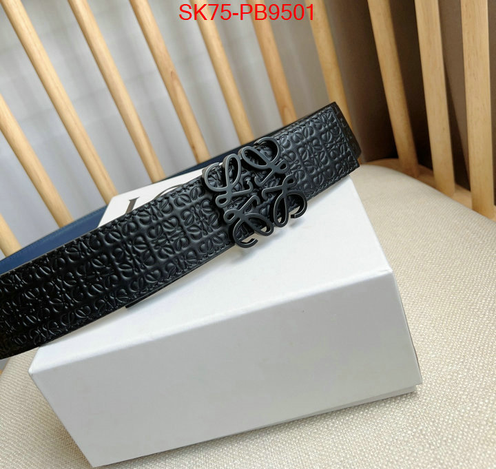 Belts-Loewe aaaaa customize ID: PB9501 $: 75USD