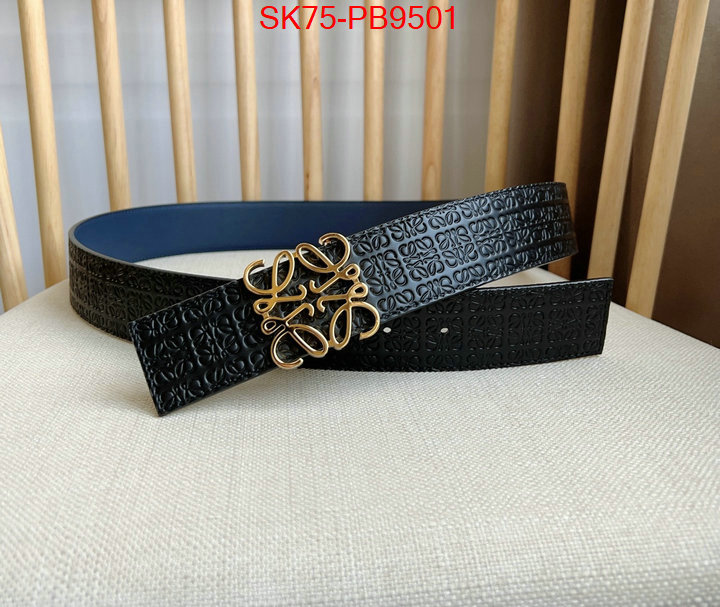 Belts-Loewe aaaaa customize ID: PB9501 $: 75USD