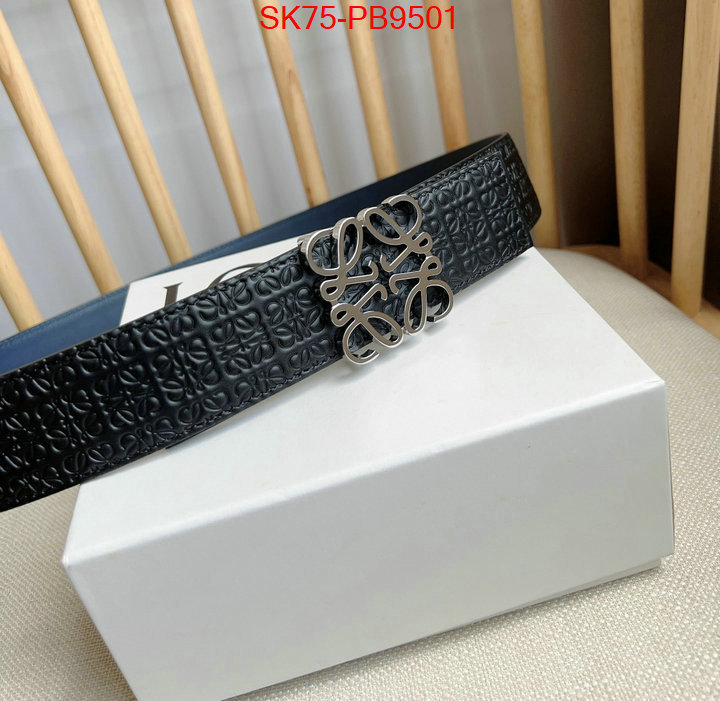 Belts-Loewe aaaaa customize ID: PB9501 $: 75USD