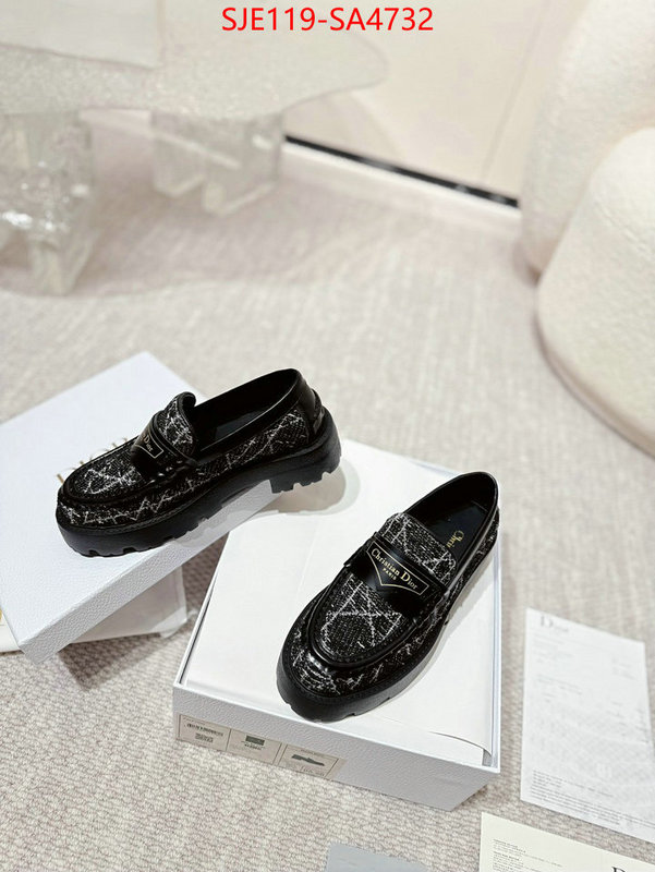 Women Shoes-Dior where can i find ID: SA4732 $: 119USD