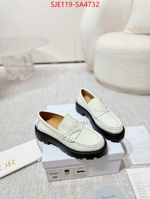 Women Shoes-Dior where can i find ID: SA4732 $: 119USD