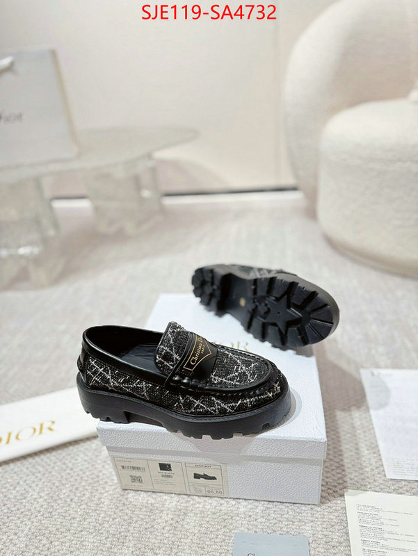 Women Shoes-Dior where can i find ID: SA4732 $: 119USD