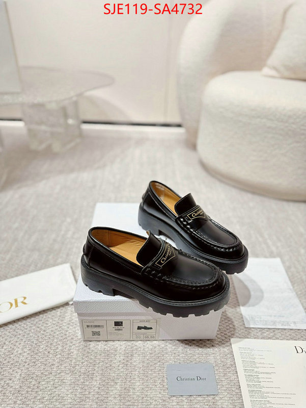 Women Shoes-Dior where can i find ID: SA4732 $: 119USD