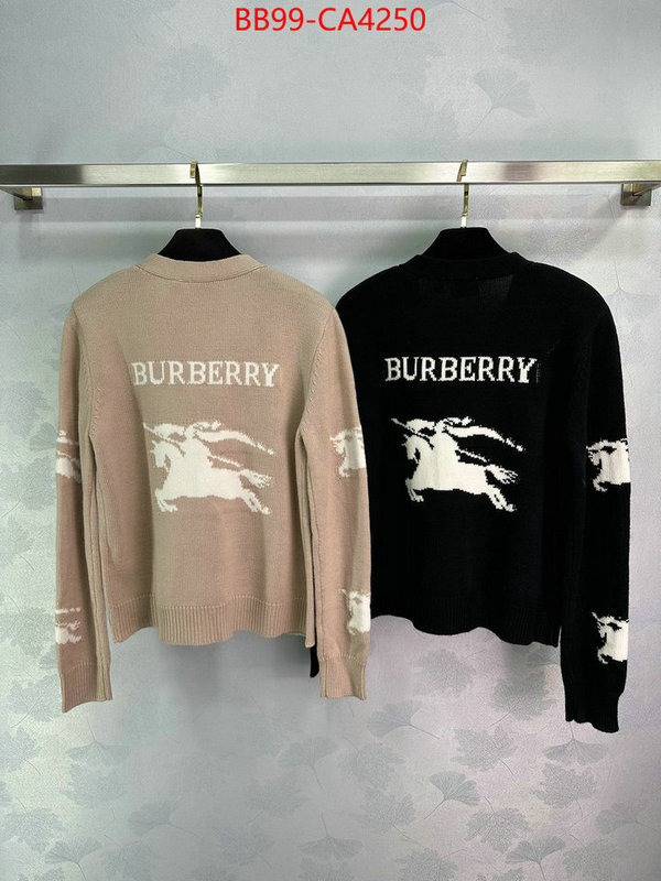 Clothing-Burberry from china 2024 ID: CA4250 $: 99USD