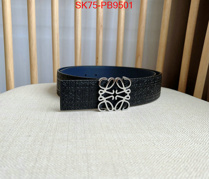 Belts-Loewe aaaaa customize ID: PB9501 $: 75USD