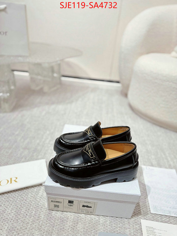 Women Shoes-Dior where can i find ID: SA4732 $: 119USD