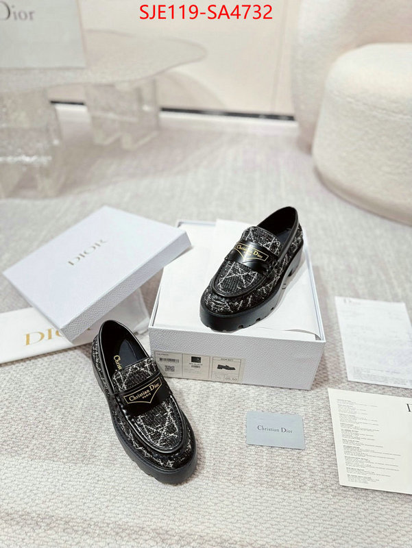 Women Shoes-Dior where can i find ID: SA4732 $: 119USD