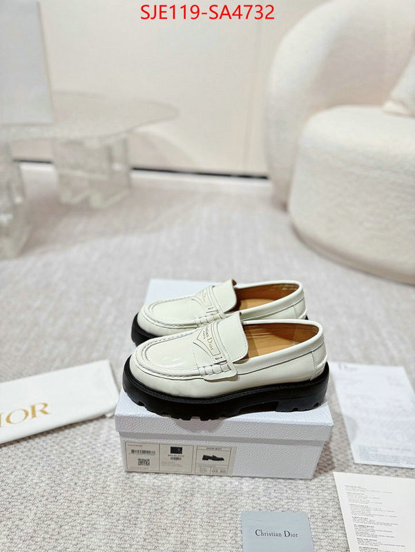 Women Shoes-Dior where can i find ID: SA4732 $: 119USD