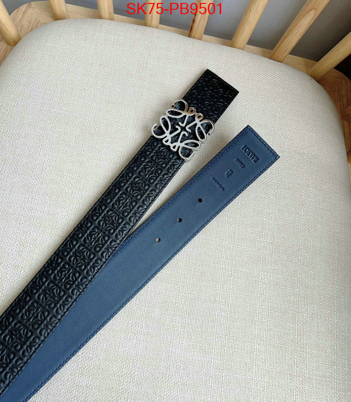 Belts-Loewe aaaaa customize ID: PB9501 $: 75USD