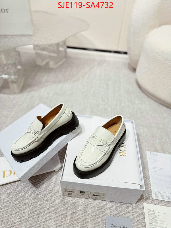 Women Shoes-Dior where can i find ID: SA4732 $: 119USD