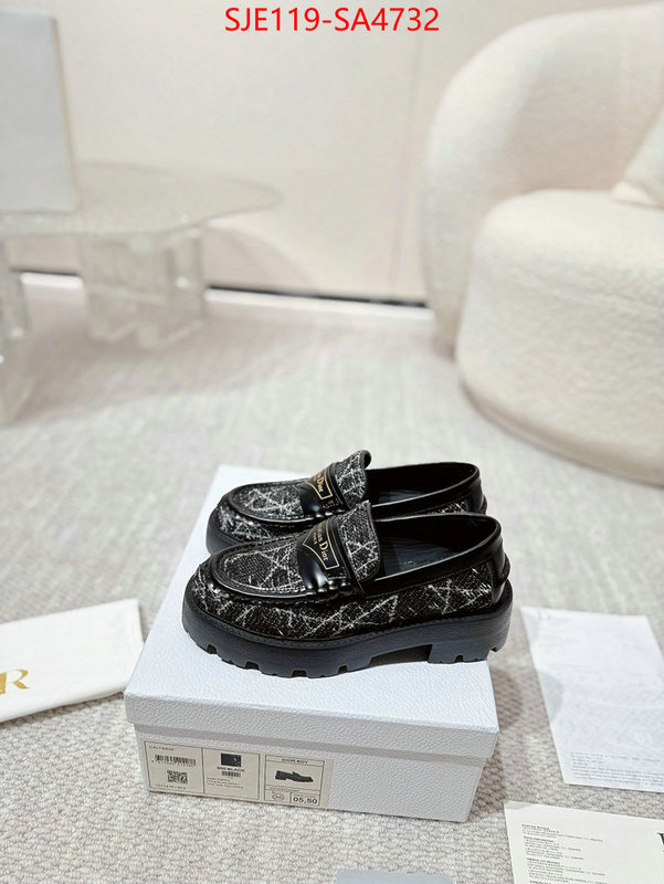 Women Shoes-Dior where can i find ID: SA4732 $: 119USD