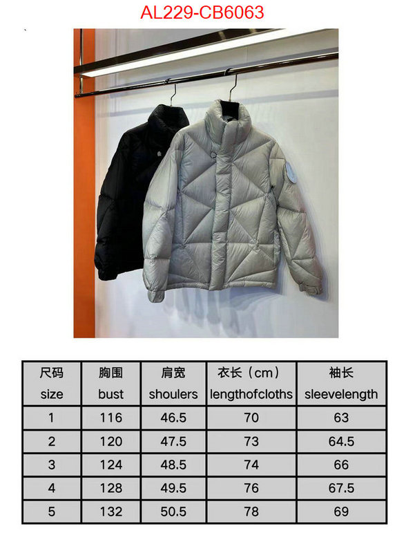 Down jacket Men-Moncler replica us ID: CB6063 $: 229USD