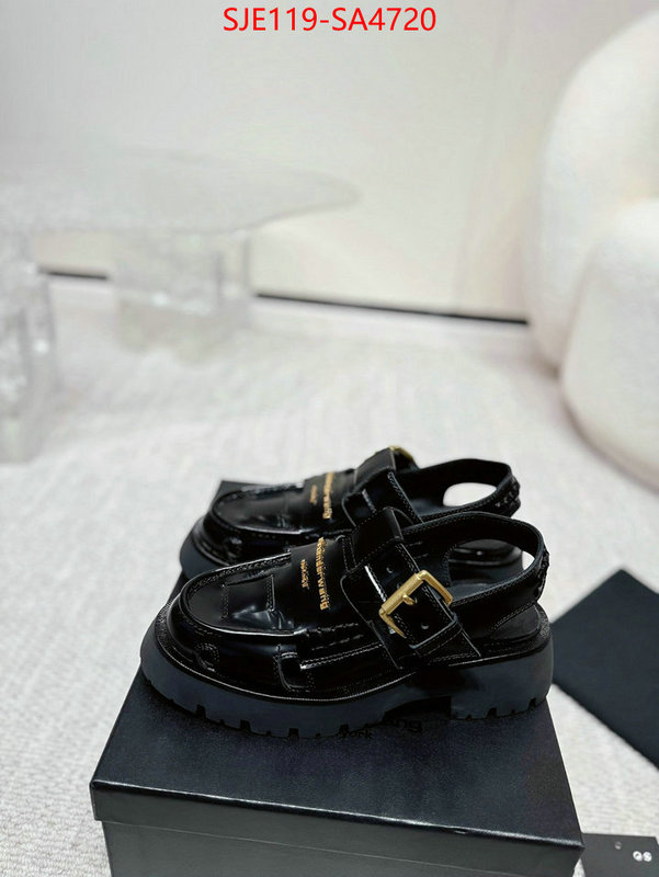 Women Shoes-Alexander Wang high quality designer replica ID: SA4720 $: 119USD