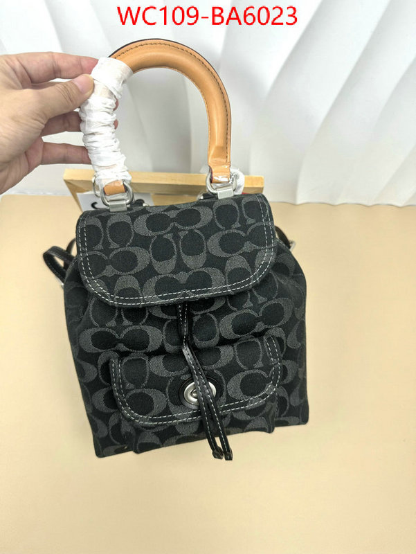 Coach Bags(4A)-Backpack- luxury cheap ID: BA6023 $: 109USD,