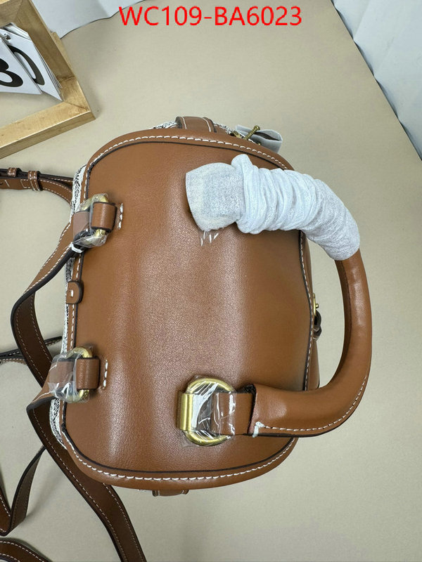 Coach Bags(4A)-Backpack- luxury cheap ID: BA6023 $: 109USD,