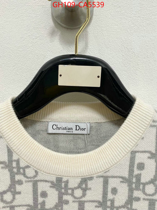 Clothing-Dior quality aaaaa replica ID: CA5539 $: 109USD