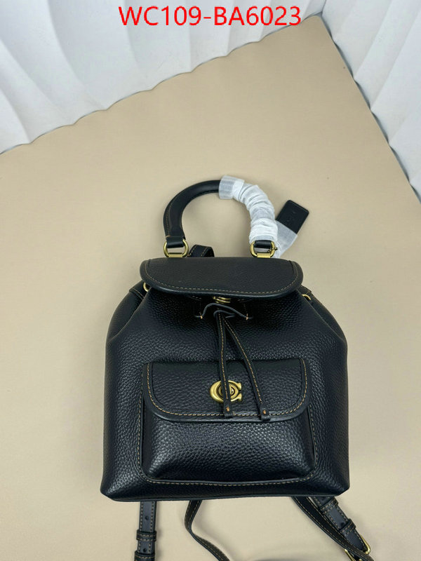 Coach Bags(4A)-Backpack- luxury cheap ID: BA6023 $: 109USD,