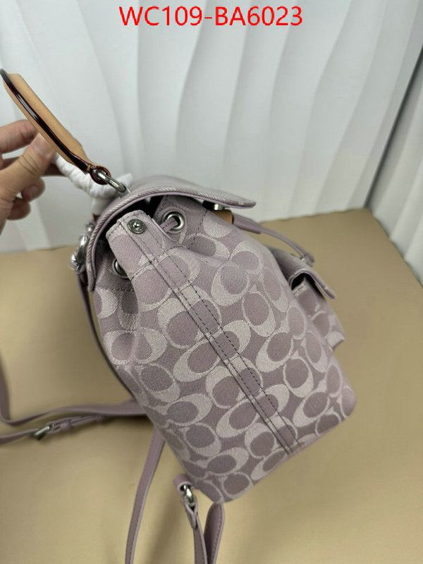 Coach Bags(4A)-Backpack- luxury cheap ID: BA6023 $: 109USD,