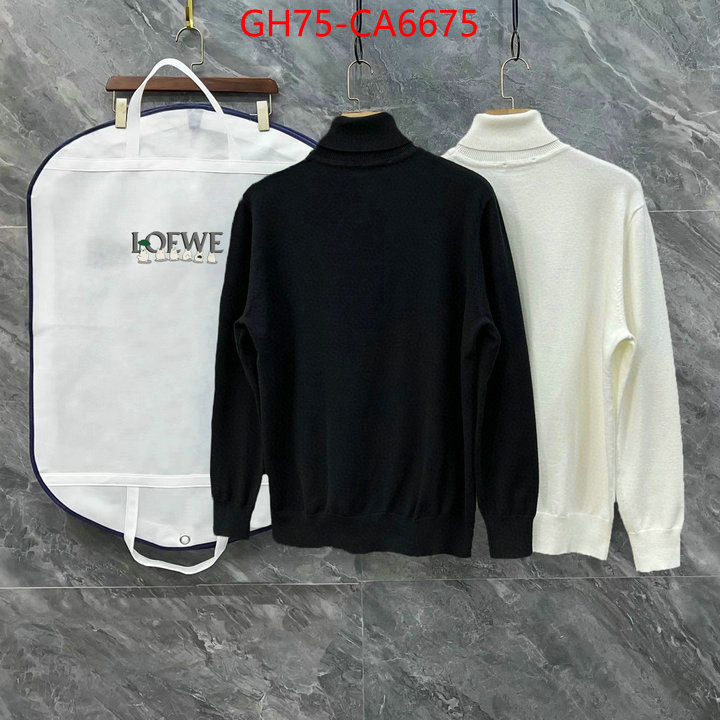 Clothing-Loewe cheap high quality replica ID: CA6675 $: 75USD