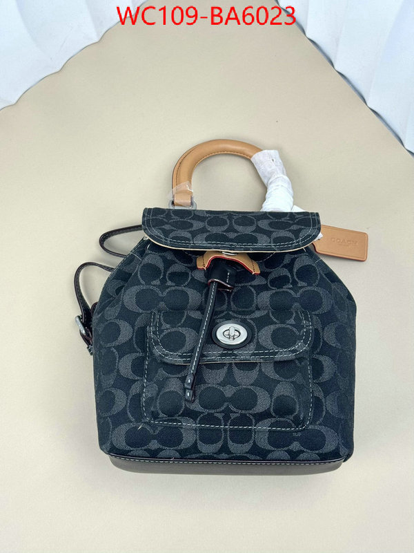 Coach Bags(4A)-Backpack- luxury cheap ID: BA6023 $: 109USD,