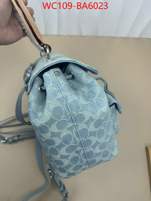 Coach Bags(4A)-Backpack- luxury cheap ID: BA6023 $: 109USD,