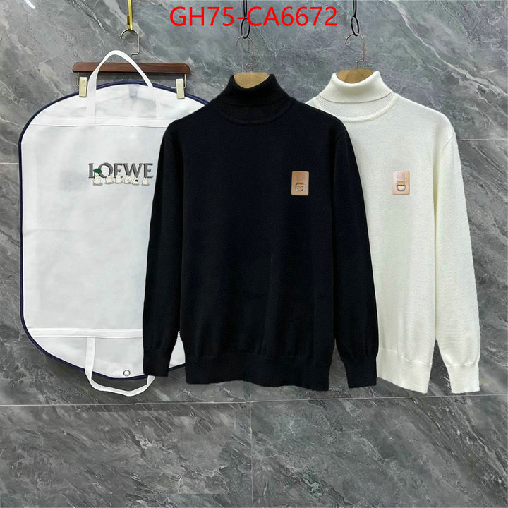 Clothing-Loewe where to find the best replicas ID: CA6672 $: 75USD