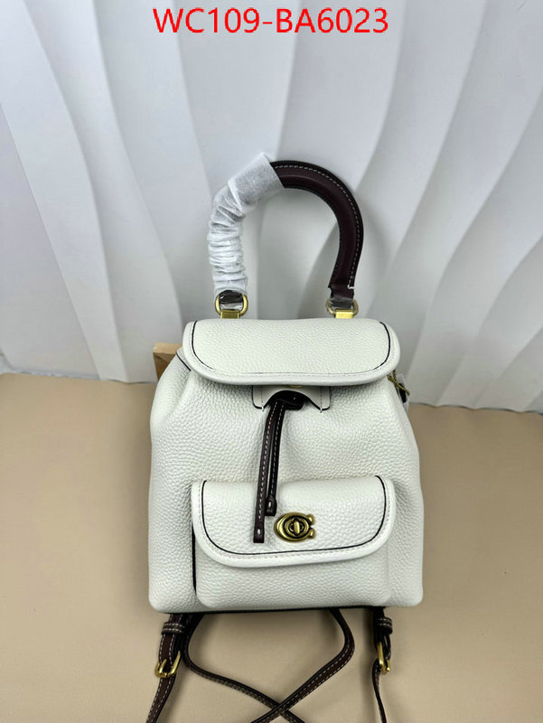 Coach Bags(4A)-Backpack- luxury cheap ID: BA6023 $: 109USD,