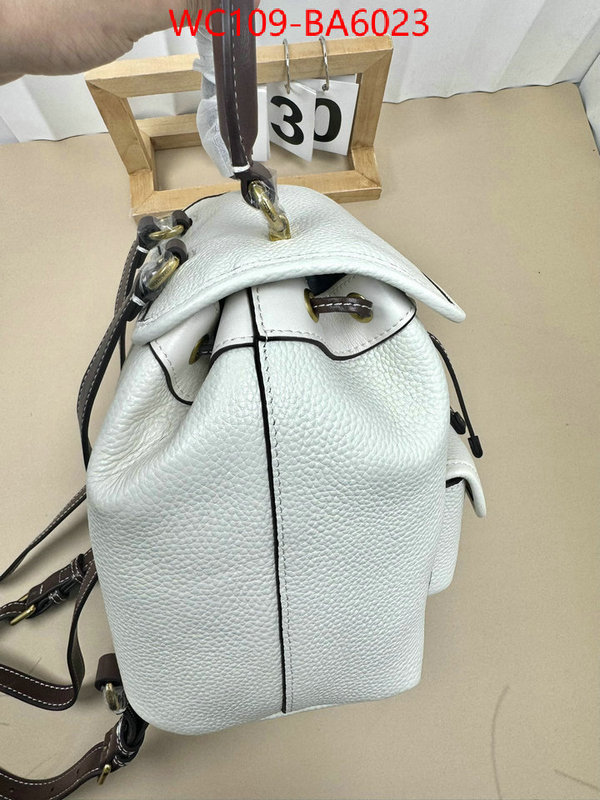 Coach Bags(4A)-Backpack- luxury cheap ID: BA6023 $: 109USD,