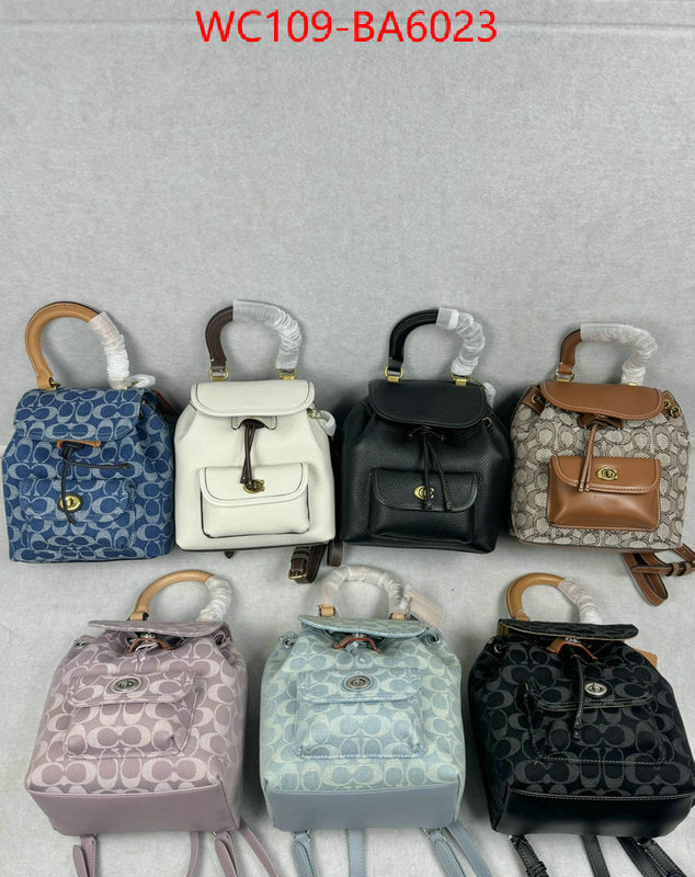 Coach Bags(4A)-Backpack- luxury cheap ID: BA6023 $: 109USD,