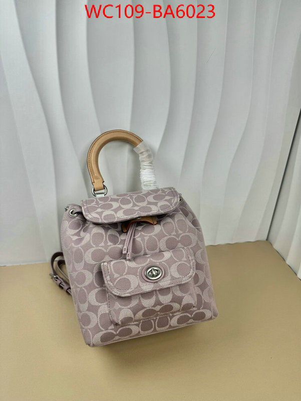 Coach Bags(4A)-Backpack- luxury cheap ID: BA6023 $: 109USD,