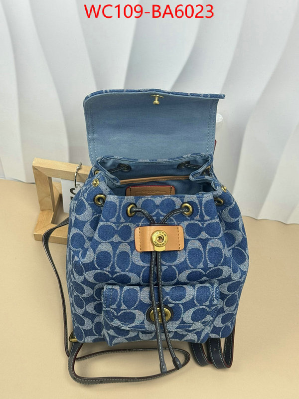 Coach Bags(4A)-Backpack- luxury cheap ID: BA6023 $: 109USD,