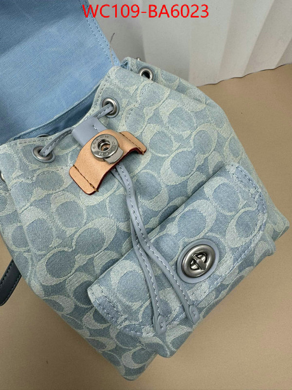 Coach Bags(4A)-Backpack- luxury cheap ID: BA6023 $: 109USD,