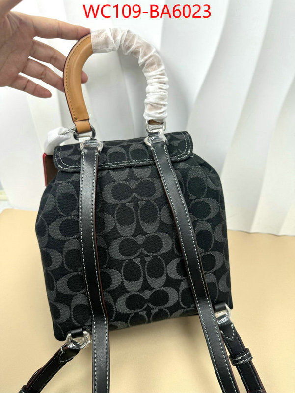 Coach Bags(4A)-Backpack- luxury cheap ID: BA6023 $: 109USD,