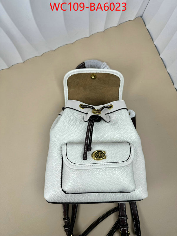 Coach Bags(4A)-Backpack- luxury cheap ID: BA6023 $: 109USD,