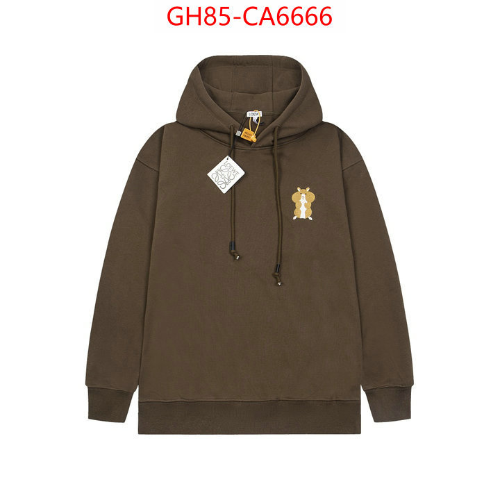 Clothing-Loewe what are the best replica ID: CA6666 $: 85USD