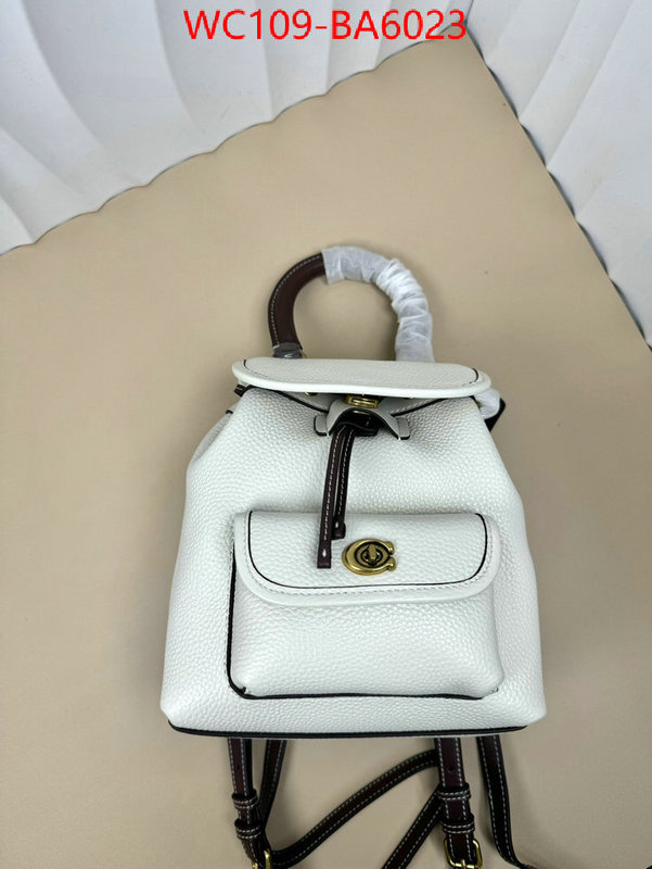 Coach Bags(4A)-Backpack- luxury cheap ID: BA6023 $: 109USD,