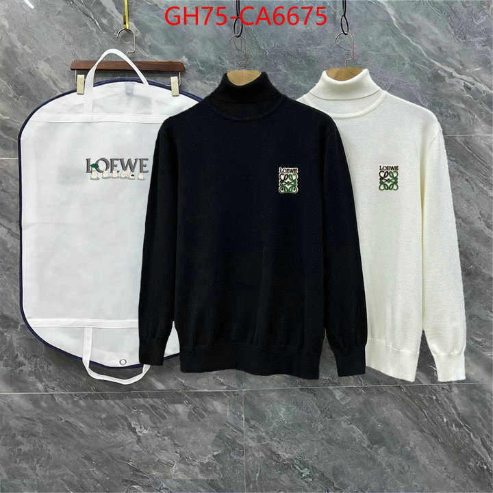 Clothing-Loewe cheap high quality replica ID: CA6675 $: 75USD