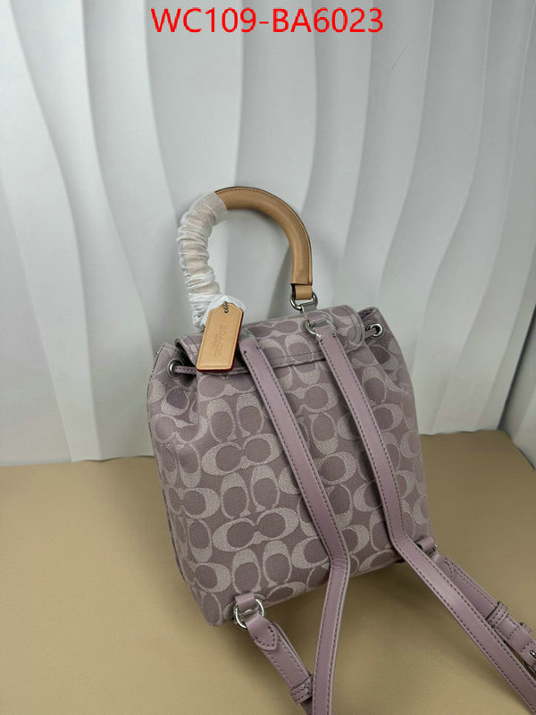 Coach Bags(4A)-Backpack- luxury cheap ID: BA6023 $: 109USD,