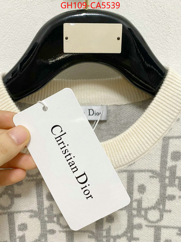 Clothing-Dior quality aaaaa replica ID: CA5539 $: 109USD