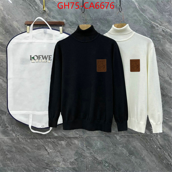 Clothing-Loewe replica every designer ID: CA6676 $: 75USD