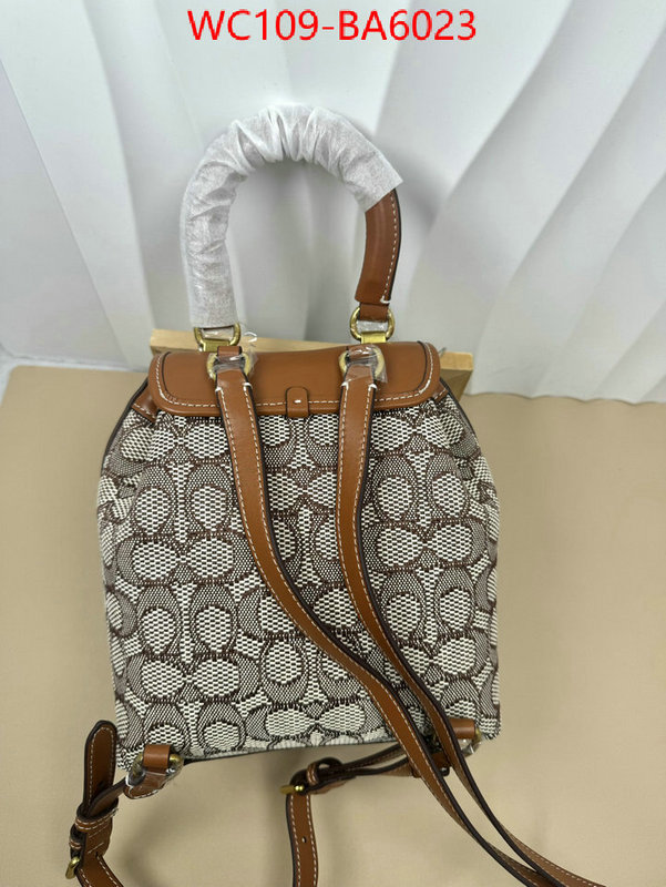 Coach Bags(4A)-Backpack- luxury cheap ID: BA6023 $: 109USD,