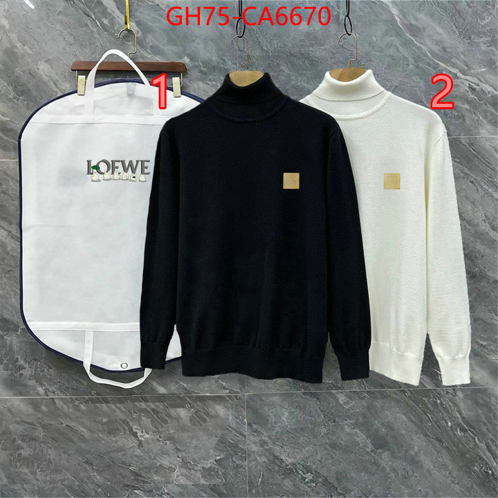 Clothing-Loewe china sale ID: CA6670 $: 75USD