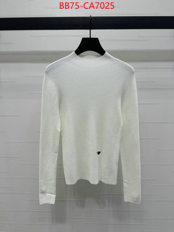 Clothing-Dior best quality replica ID: CA7025 $: 75USD