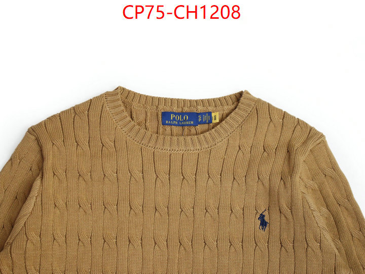 Clothing-Ralph Lauren top quality replica ID: CH1208 $: 75USD