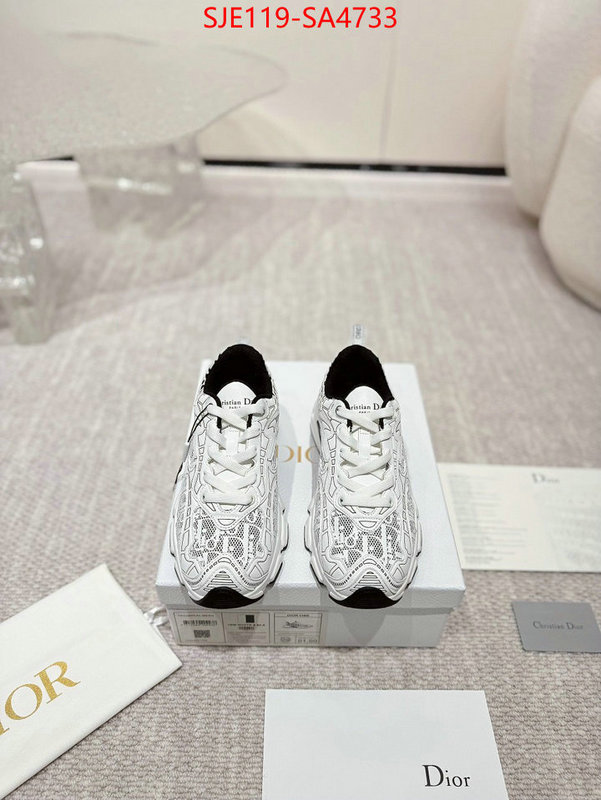 Women Shoes-Dior good ID: SA4733 $: 119USD