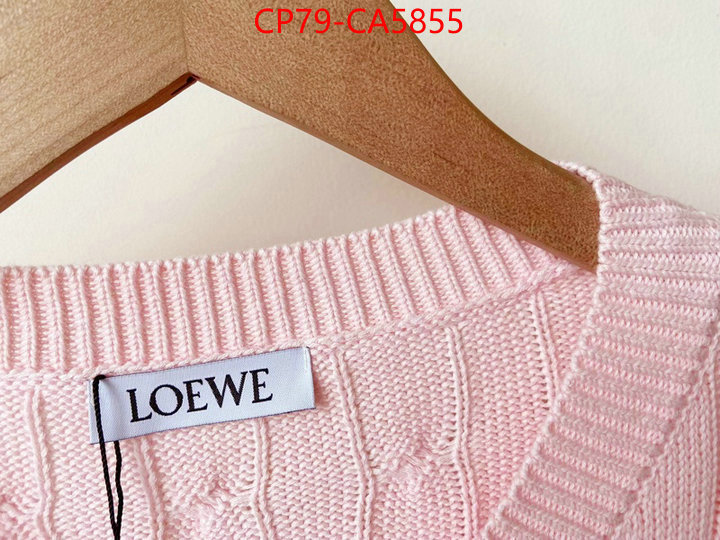 Clothing-Loewe high ID: CA5855 $: 79USD