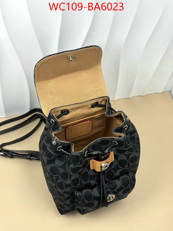 Coach Bags(4A)-Backpack- luxury cheap ID: BA6023 $: 109USD,