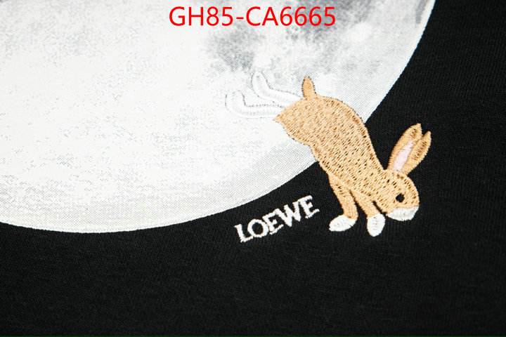 Clothing-Loewe perfect replica ID: CA6665 $: 85USD