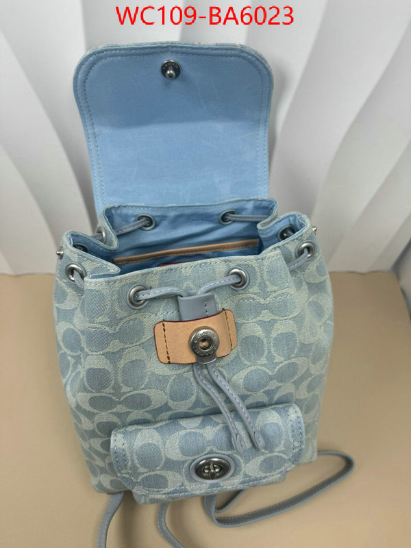 Coach Bags(4A)-Backpack- luxury cheap ID: BA6023 $: 109USD,